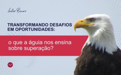 Transformando desafios em oportunidades